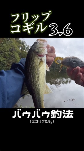 【shorts】こんなのも釣れちゃうフリップコギル #ノリーズ