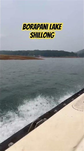 Y89 | Living Root Bridges कैसे बनते हैं? Meghalaya का Nature Engineering Miracle