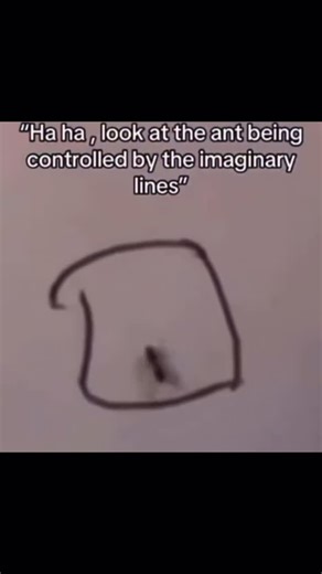 Art of War on Instagram: "It’s me, I’m the ant. I do love my laser line. #warhammerlore #warhammer40klore #AdWIP #warhammercommunity #40kUpdate #warhammer40klists #warhammerlists #40klists #warhammer40k10thedition #warhammer40k #10thedition40k #10thed40k #warhammer #Competitive40k #warhammercommunity #new40k #40kmemes #warhammermemes #warhammer40000memes"