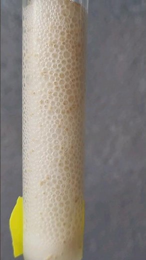 Yeast and Hydrogen Peroxide