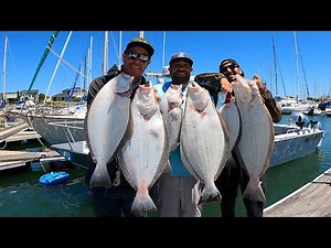 The Halibut Have Finally Arrived in Good Numbers!