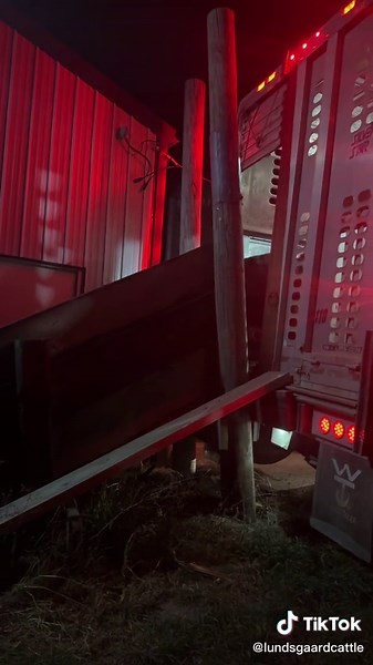 #eatbeef #yeehaw #dantheman #CAB