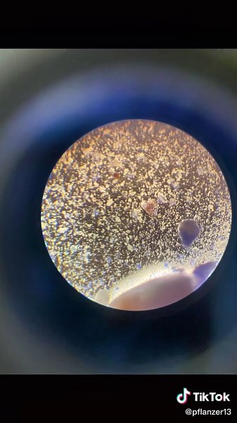 Looked at my grandfather’s ashes under the microscope…he’s not only a rainbow but also a full galaxy🥺🌈💫 #ashes #microscopechallenge #alzheimers