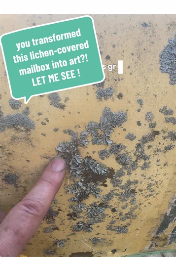 Transform Your Mailbox into Abstract Floral Art