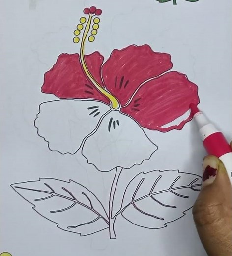 Hibiscus Flower Coloring | Easy Drawing for Kids | Beautiful Flower Coloring