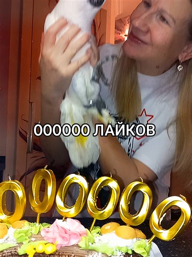 Understanding Parrot Behavior and Engagement