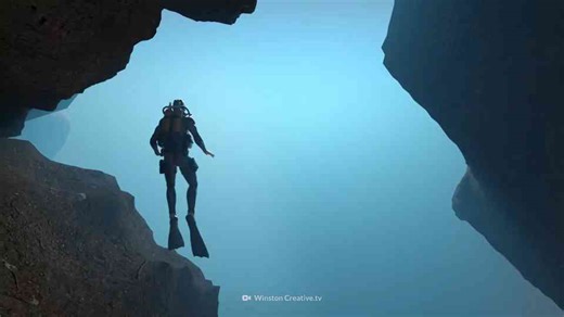 Le serpent colossal contre le requin géant : qui dominerait ?