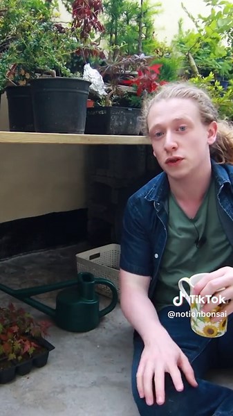 How to Build a Bonsai Bench! #fyp #bonsai #bonsaitrees #bonsaibench #notionbonsai #bonsaitips #trending #viral #DIY #gardening #foryoupage #love #nature #trees #foryou