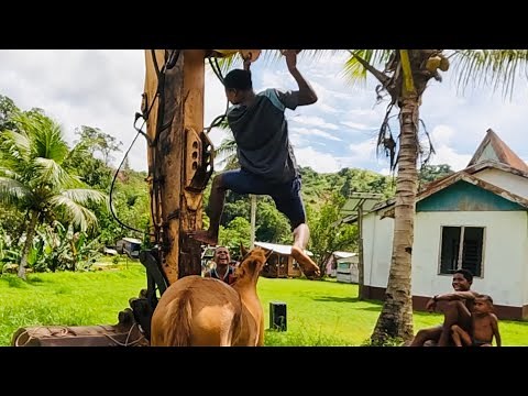 Fijian Kids vs The Village Horse 🐴 😂🇫🇯 …and cassava farming - FIJI VILLAGE LIFE