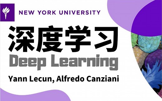 【双语字幕】纽约大学《深度学习(PyTorch)》课程(2020) by yann Lecun, Alfredo Canziani