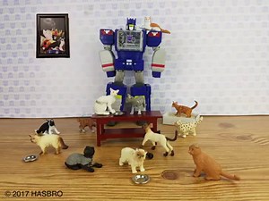5.4K views · 219 reactions | Some things should be discussed prior to house sitting. | TRANSFORMERS | Facebook