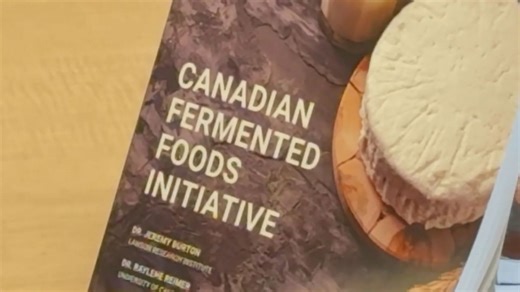 Pushing fermented food benefits