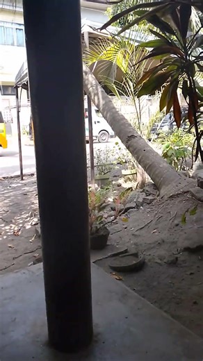 ma init na hapon bigla ulan naman ingat kayu🥰