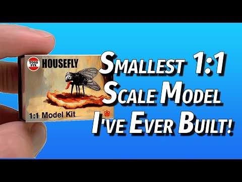 I Didn't Expect to Find this 1:1 Scale Model!