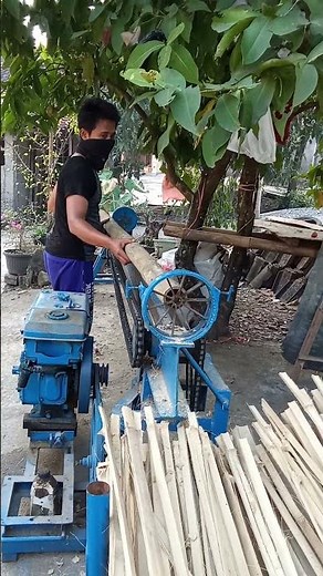 Split bamboo