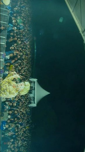 📹Recap : ARABAKI ROCK FEST.25 ⏯️夜明け📽️Directed by TIVE🎪Kroi ホール&アリーナツアー チケット先行受付中！#ARABAKI #アラバキ