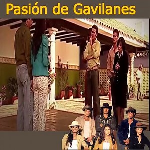 2.2M views · 69K reactions | Pasión de Gavilanes Capítulo 88 (Parte Final) #Gavilanes #reels #PDF #peliculas2024 #shorts #art #fyp | Película567 | Facebook