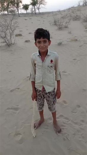 lala pala (@subhshasuthar)’s videos with original sound - user27102224409