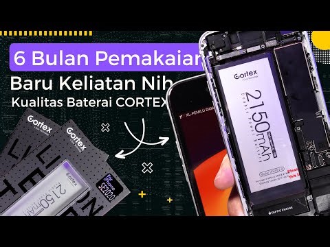 After 6 Months of Use, This Is What the Quality of the iPhone SE 2020 Cortex Battery Looks Like...