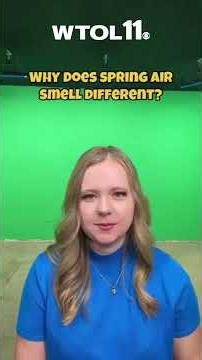 Why does spring air smell different?