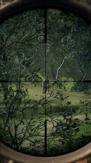 Most Satisfying Hunting Shots (TheHunter: COTW)