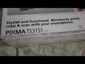Canon Pixma TS3151