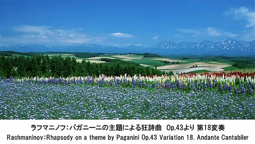 涙が出るほど？美しいクラシック名曲集・Beautiful Classical Music Collection（長時間作業用BGM)