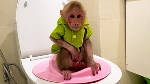 Smart Bibi knows how to take care of himself every day! | Family MK