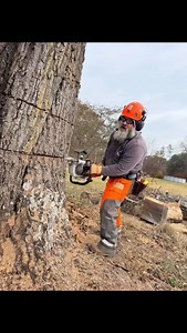 Professionals back cut a tree to control the fall, which is a critical step that determines when and where the tree drops. An incorrect back cut can cause unpredictable results, serious injury, property damage making it essential for the professional to use their expertise to create and ensure a controlled fall. In the Greater Roanoke area, for safety and experience, contact the professionals at Scrappy Creek Tree Service today for your non-obligation assessment 540-524-9091. #treeservice #treer