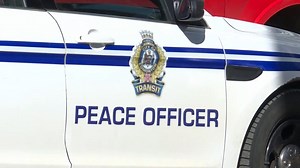 15 new peace officers coming to Edmonton Transit this month, with another 15 starting in July