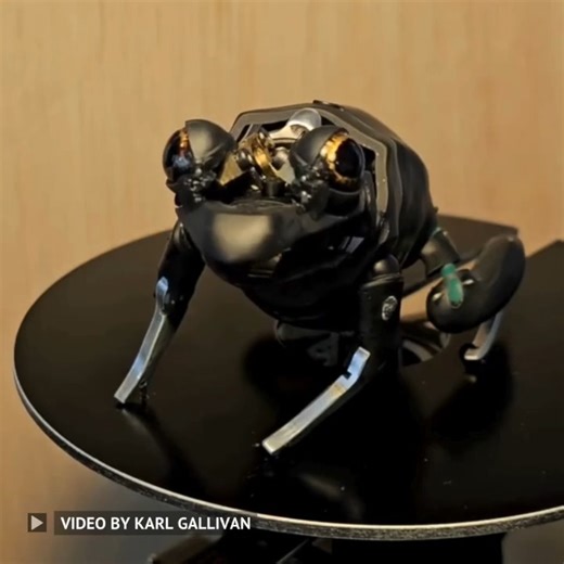 8.3K views · 215 reactions | An animatronic frog in the making. A...