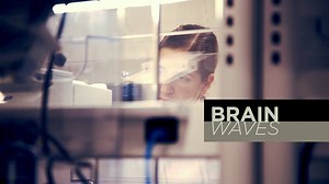 4.4K views · 61 reactions | Allen Institute scientists use gene expression from single cells to explore how many types of cells are there in the brain. Watch our latest Brain Waves video. | Allen Institute | Facebook