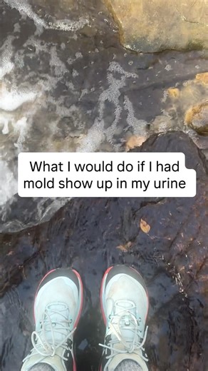 What I’d Do If Mold Showed Up on My Urine Mycotoxin Report Find the source Test the home (ERMI/HERTSMI), run HEPA filters, lower humidity, and identify any active leaks or water damage. Start slow with binders Activated charcoal, chlorella, or a combo binder to trap and remove mycotoxins. (Away from meds food.) Open drainage pathways FIRST Daily bowel movements, electrolytes, lymph support, and gentle movement. No drainage = no detox. Support the liver Glutathione, NAC, milk thistle, and B vitam