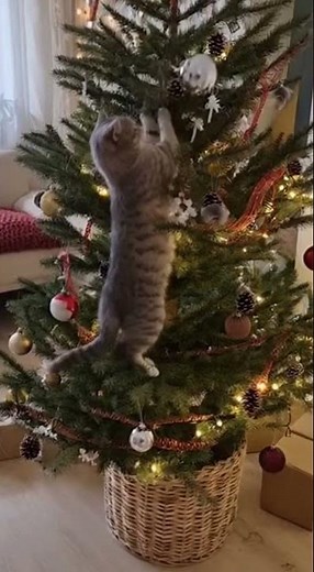 Funny Pets Fail during Christmas Season | Good Vibes and Cuteness Overload 🤣 #shorts #ai