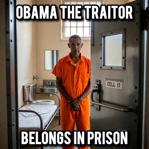 Obama committed treason.He belongs in prison.