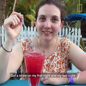 424K views · 1.4K reactions | We're not saying it's easy to ditch single-use plastics for an entire trip—but we are saying it's totally possible. And every little bit helps. https://on.natgeo.com/2KJGsjA | National Geographic Travel | Facebook