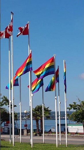 Secrets and curiosities 😉 of the English Bay that you didn't know