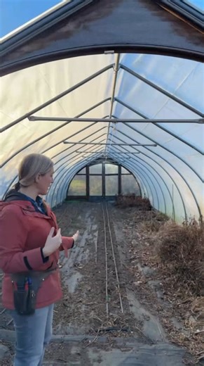 I’ve been getting a bunch of questions about the smaller hoophouses we use here on the farm so I thought a little tour of our Farmers Friend tunnels might be interesting. We have 25 of their Gothic Caterpillar Tunnels (Pro 14ft wide) and have been very happy with them. We did make custom end-walls and doors but you can do something much less decorative and simple or order end-wall kits directly from Farmer’s Friend. Here's the link to the ones we have: https://www.farmersfriend.com/p/gothic-cate