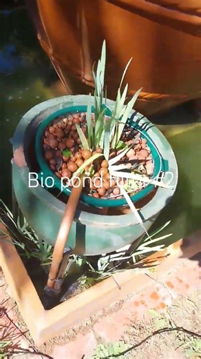Garden pond bio filter