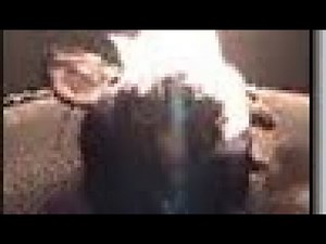 Smosh.com - Microwave Furby