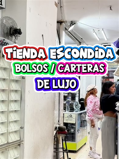 Tienda Escondida de Bolsos y Carteras de Lujo
