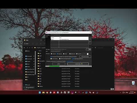 PSDZDATA Lite/Full Space Saving Trick (Windows/MacBook M1/M2)