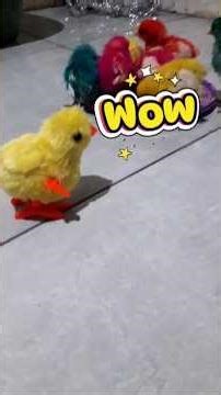 Ayam gemoy, Ayam warna-warni #ayam #funny #cute#mainananak (‪@Cutecolorfulchicks‬