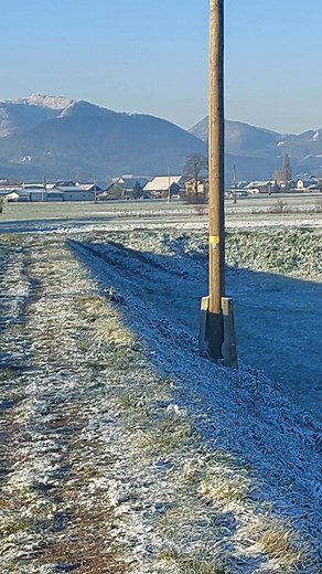 Babno Celje. | Vito Poznič