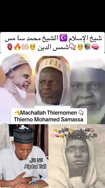 قوة الشيخ محمد سامassa وثقافة الفوتي