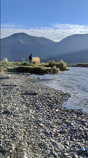 When the wind, water, and birds become music. Thane, Juneau. Alaska 🌲