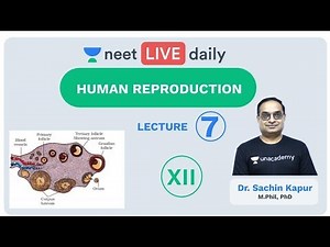 Human Reproduction - Lecture 7 | Class 12 | Unacademy NEET | LIVE DAILY | NEET Biology | Dr. Sachin