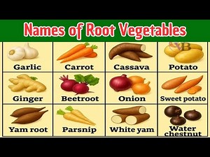 Root vegetables | Names of Root Vegetables| Root Vegetables| different types of root vegetables