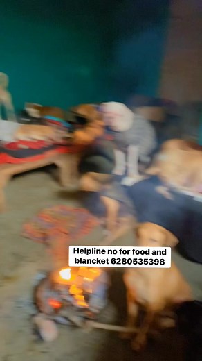 59K views · 5.4K reactions | Helpline no for food and blancket 6280535398 #ashiyanaanimalrescue | Ashiyana Animal Rescue | Facebook