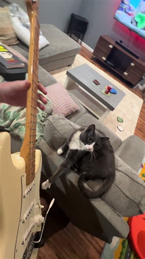 Free Guitar Solo Inspired by The Legend of Zelda